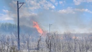 Otra vez una ciudad de Río Negro quedó sin luz y agua por un incendio: culpan a los chacareros