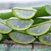 Imagen de Cómo eliminar las ojeras con un poco de aloe vera