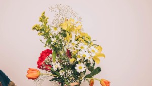 Día de la Primavera: cuál es el significado de las flores que más se regalan