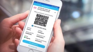 Certificado Único de Discapacidad: qué documentos necesito para viajar gratis con el CUD