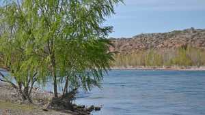 Clima en Neuquén y Río Negro: ¿cómo estará el tiempo este miércoles 18 de septiembre?