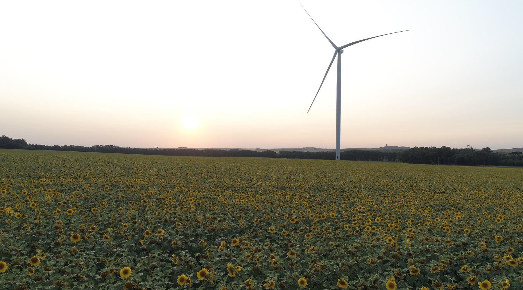 Se realizó la habilitación comercial de más de 450 MW de energía eólica y solar.