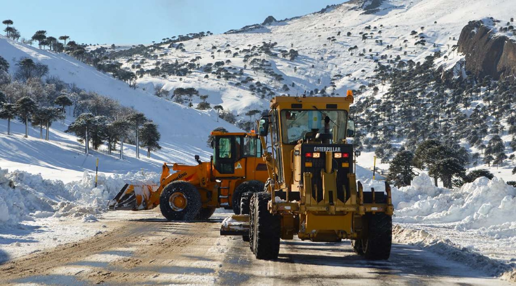 Rutas de Neuquén.-