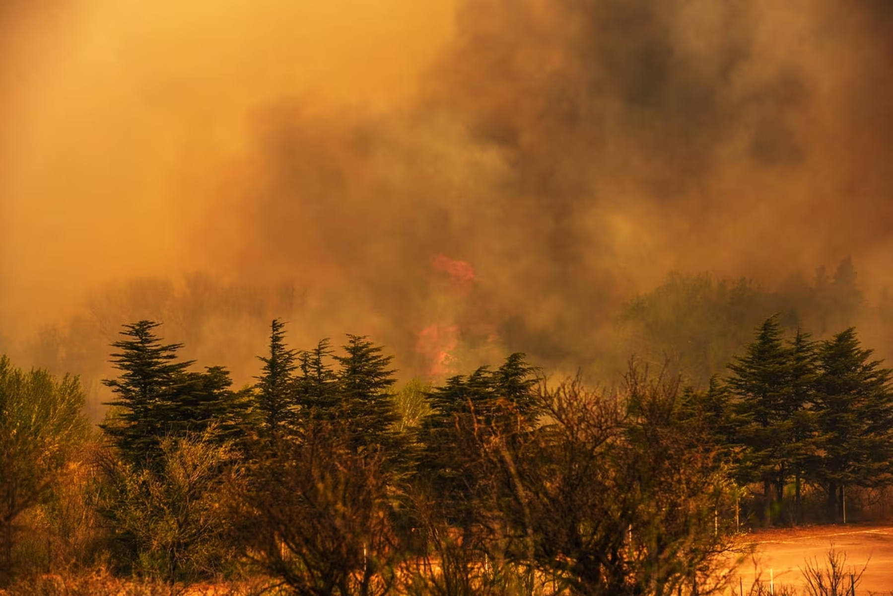 Incendios en Córdoba. Crédito La Voz.