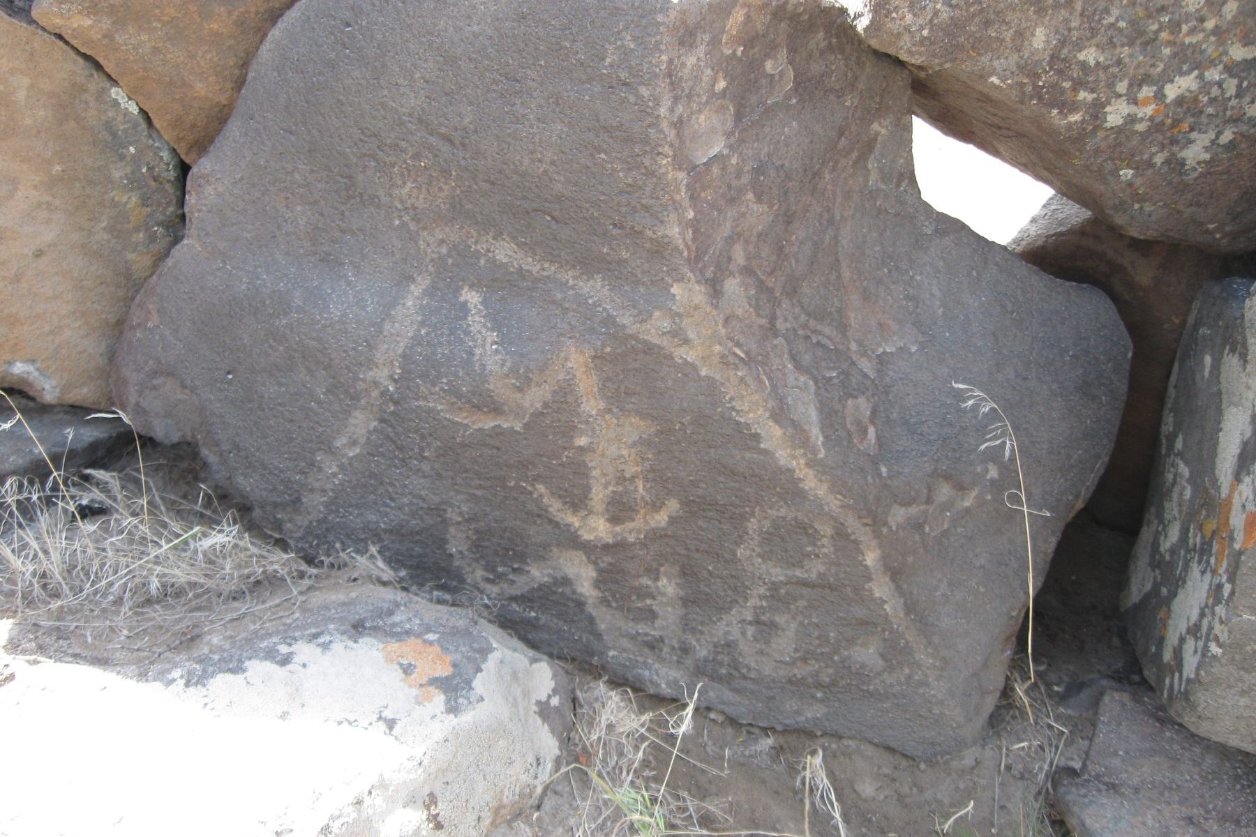 En el sitio Curapil, arquéologos encontraron grabados sobre piedra. Crédito Emiliano Mange