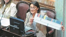 Imagen de Río Negro en alerta por el futuro de la Boleta Única de Papel: la tensión crece en Diputados