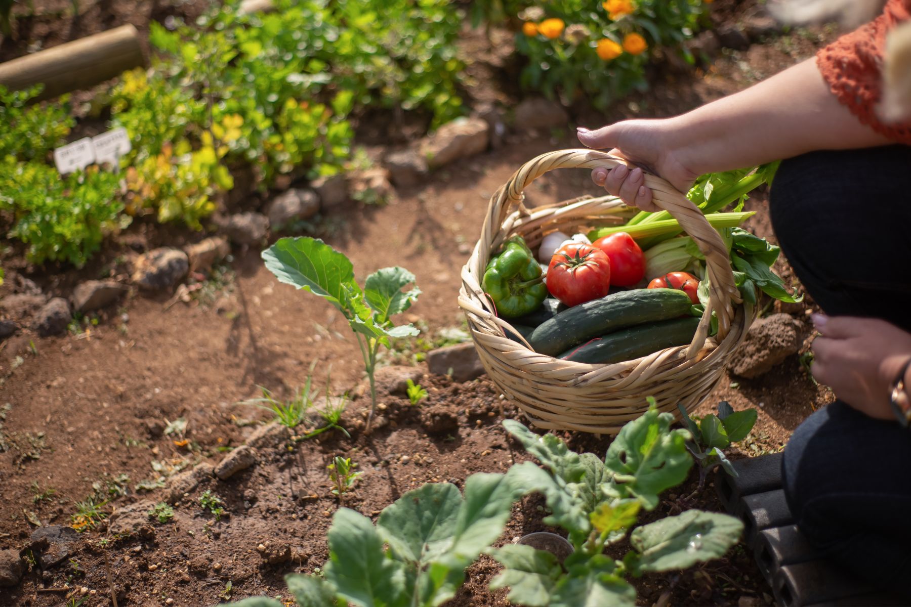 A partir de este mes, las plantas empiezan a necesitar más agua.