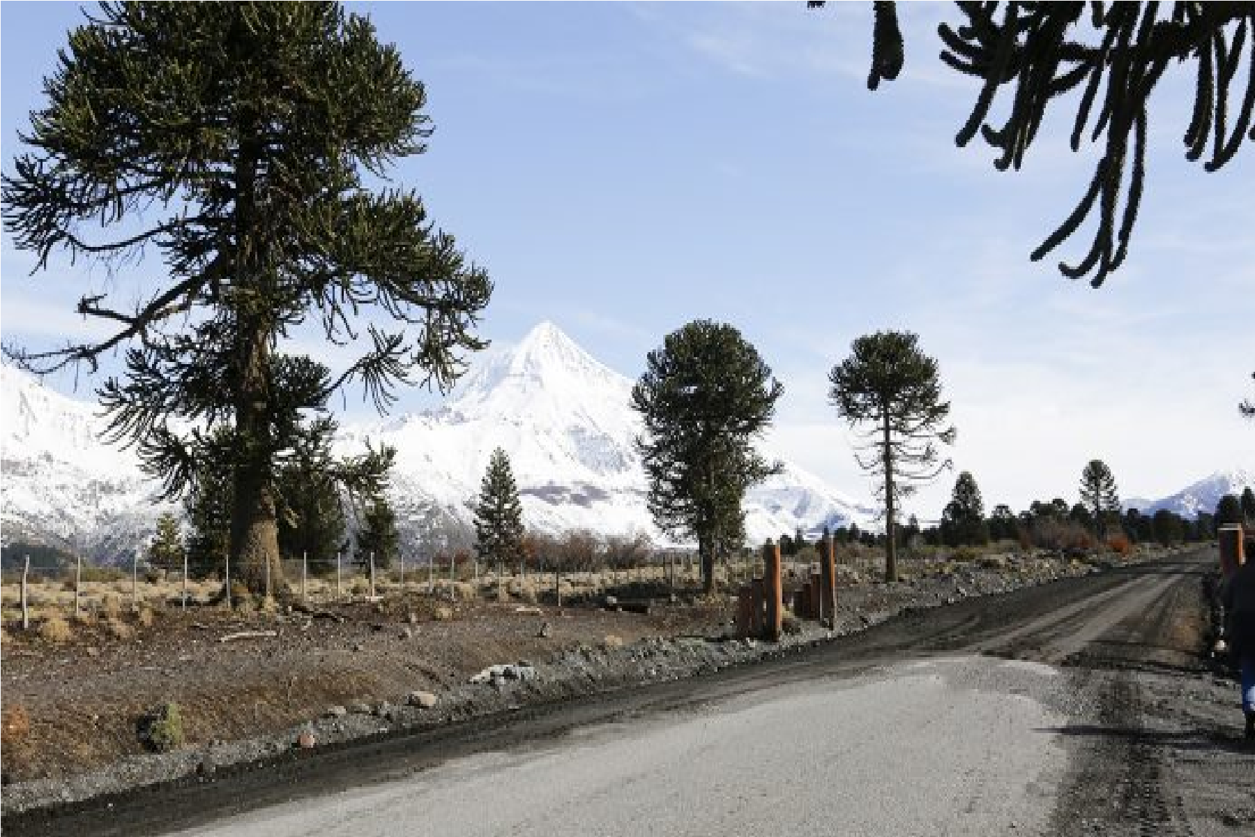 Licitan el asfalto de dos rutas estratégicas para el turismo en la cordillera de Neuquén (Foto: gentileza)