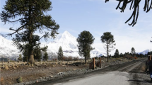 Imagen de Licitan el asfalto de dos rutas estratégicas para el turismo en la cordillera de Neuquén