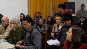 Llegan los alegatos en el juicio por usurpación de mapuches en Villa Mascardi