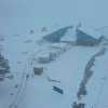 Imagen de Nieve y viento causan el cierre de pasos fronterizos en Neuquén: lo que debes saber