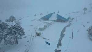 Paso Pino Hachado cerrado por alerta por nieve en Neuquén: tránsito inhabilitado en la Ruta 242