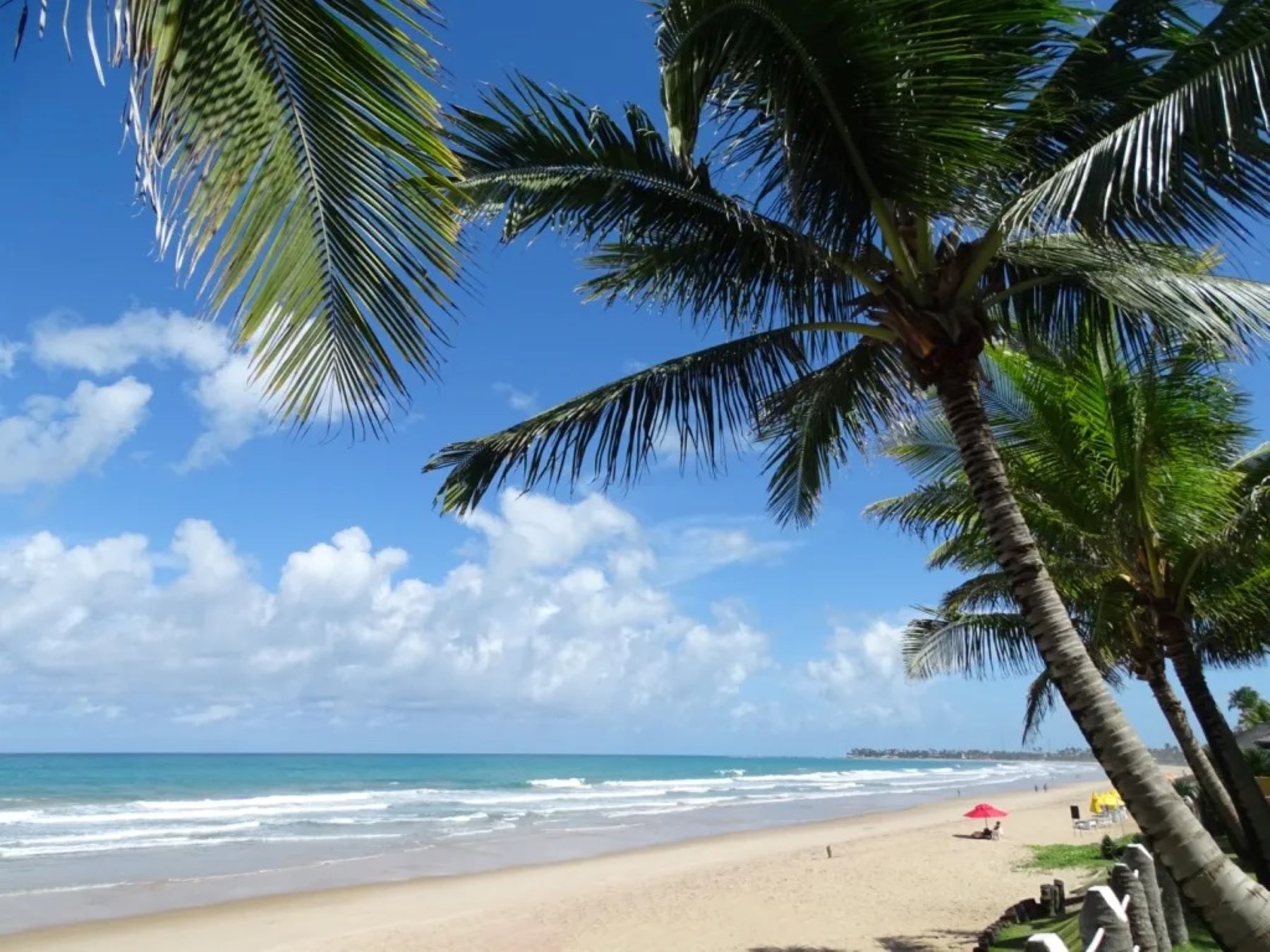 El paraíso en Brasil. Foto: Gentileza