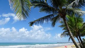 El paraíso está en Brasil, se llama Porto de Galinhas y es ideal para una escapada