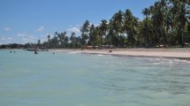 Imagen de ¿Conocés ‘el caribe brasileño’? Una playa de arenas blancas y aguas turquesas, enteráte cuál es