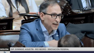 Reforma Jubilatoria: Agustín Domingo anticipó la abstención de su bloque en la votación por el veto