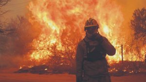 Incendios y estupidez humana