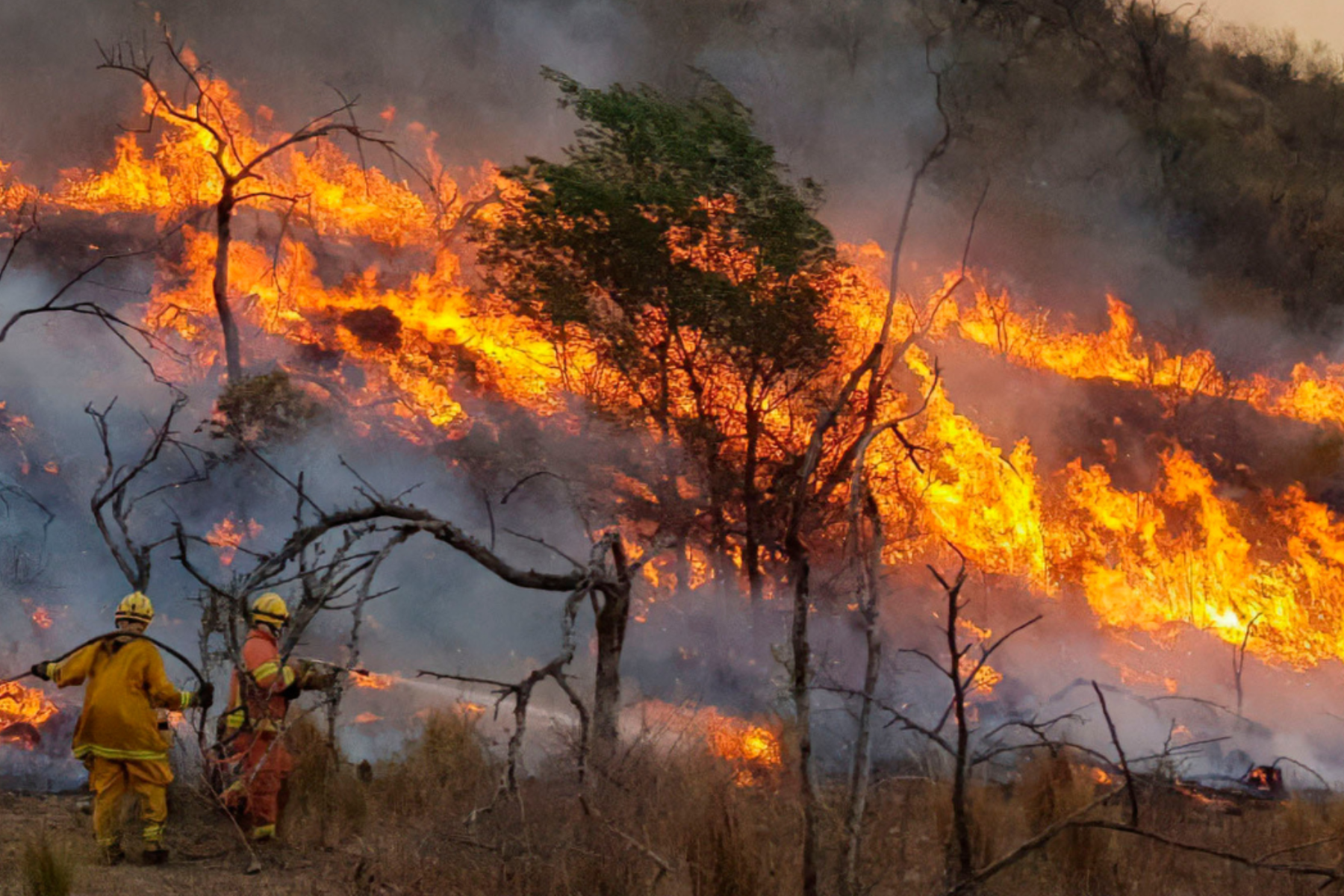 Javier Milei responsabilizó falsamente a La Cámpora de los incendios forestales en Córdoba. en un reposteo de su cuenta de X. Foto Archivo.