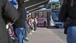 Colectivos en Neuquén y Río Negro | El ruego viral de una usuaria de KoKo: «Una mano en el corazón»