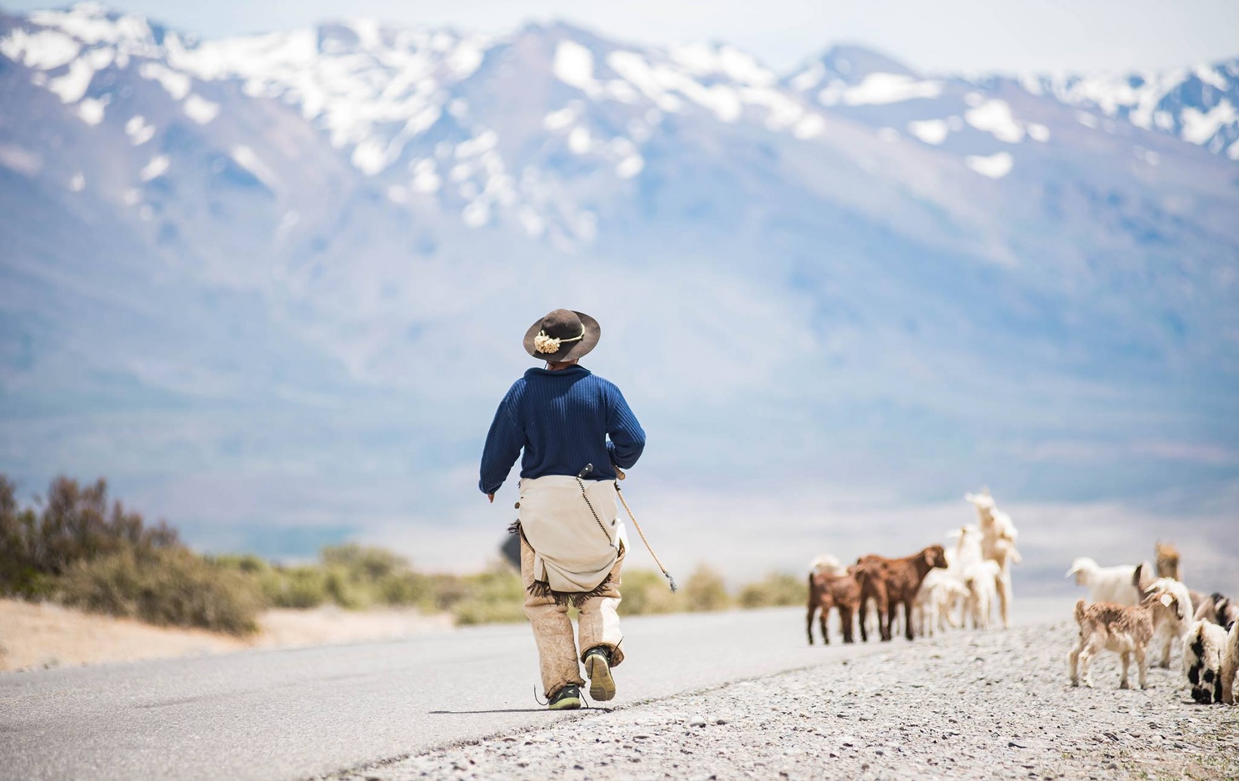 Rutas de Neuquén. Foto: Neuquén Turismo.-