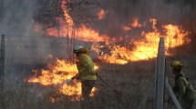 Imagen de Video | Impactante incendio en el Tercer Puente en Neuquén: hubo corte de tránsito y siete intoxicados por el humo