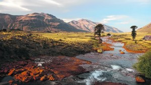 Curso gratuito para ser guía en Áreas Naturales de Neuquén: se acerca la fecha límite para inscribirse