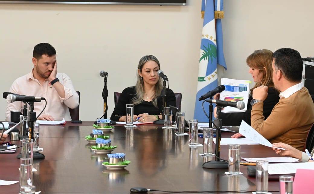 La legisladora opositora y el presidente, Francisco Lepore, del oficialismo mantuvieron un tenso intercambio. Foto Florencia Salto.