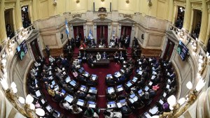 En vivo, sesión en el Senado: los fondos a la SIDE también se debatirán con presupuesto universitario y Boleta Única