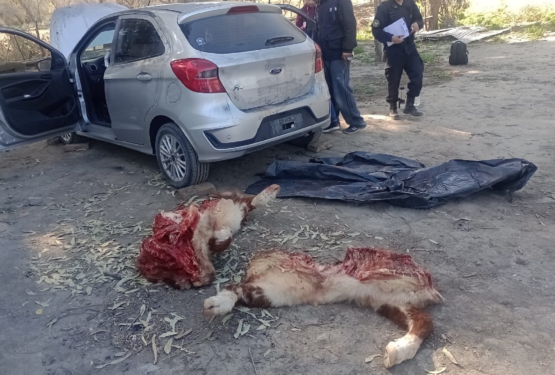 El auto hallado en la chacra de Viedma. Foto Gentileza El Delitometro.