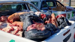 Secuestran 1.650 kilos de carne en San Javier investigan ante casos de abigeato en chacras de Viedma