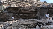 Imagen de Cierran al público una de las playas más conocidas de Viedma tras un derrumbe: cuándo se habilitará