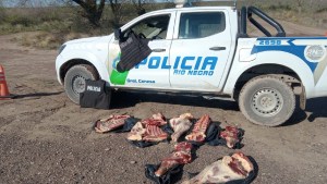 Secuestraron carne por «faena clandestina» en Conesa: qué dice la Ley por estas infracciones