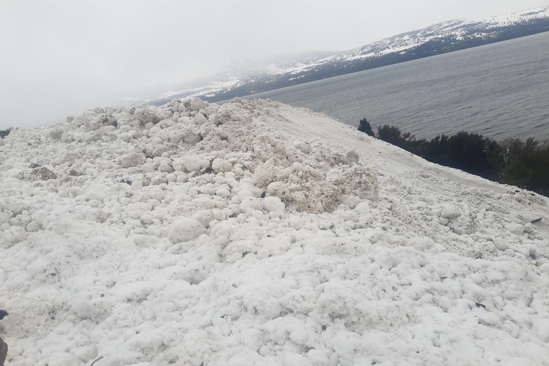 Avalancha en la zona de El Contra-Lago Huechulafquen. Foto: gentileza.