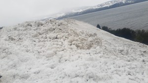 Avalancha en el parque nacional Lanín: el trabajo con drones para tratar de desbloquear el camino