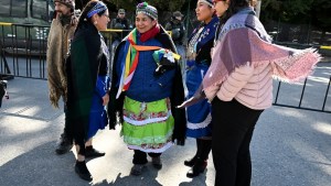 Condenas de hasta 2 años y seis meses de prisión a mapuches por la usurpación en Villa Mascardi