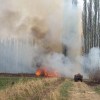 Imagen de Bomberos cansados de las quemas en El Chañar: advierten con «dejar» focos que no tengan prioridad