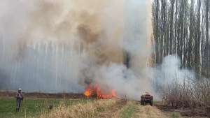 Bomberos cansados de las quemas en El Chañar: advierten con «dejar» focos que no tengan prioridad