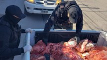 Imagen de Secuestraron más de 800 kilos de carne proveniente de faena clandestina en Roca y en Allen