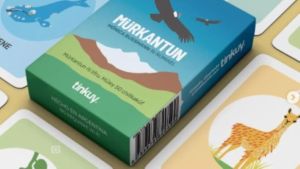 Crearon Mürkantun, el primer juego comercial en mapudungun para revitalizar la lengua mapuche