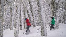 Imagen de Descuentos imperdibles para hacer esquí y snowboard en el cerro Chapelco en San Martín de los Andes