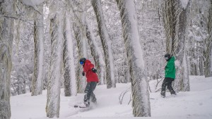 Descuentos imperdibles para hacer esquí y snowboard en el cerro Chapelco en San Martín de los Andes