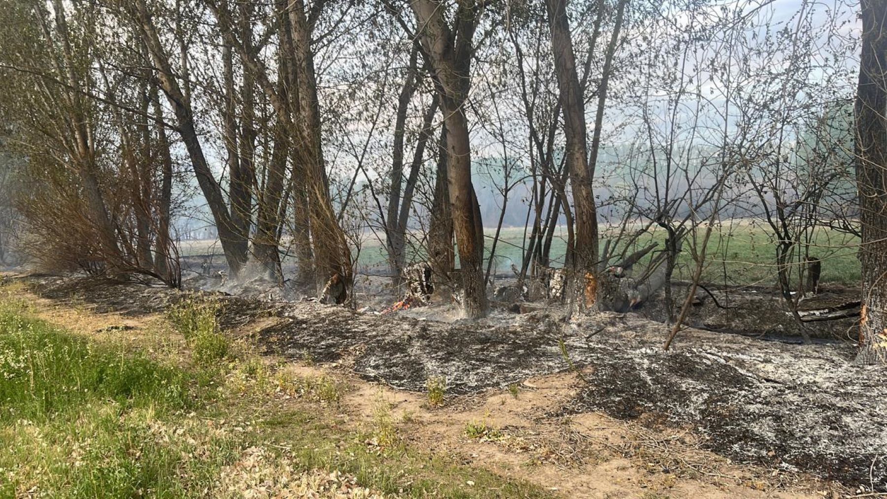 Tres dotaciones trabajaron para extinguir el fuego en Cipolletti. Foto: Gentileza. 