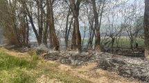 Imagen de Incendio en Cipolletti consumió 15 mil fardos:  tres dotaciones de bomberos apagaron el fuego