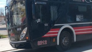 Principio de incendio en un colectivo antes de llegar a Río Colorado: qué pasó