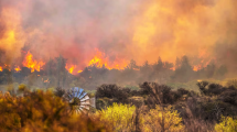 Imagen de De la Patagonia a Córdoba: llegan brigadistas de Neuquén y Río Negro para combatir los incendios