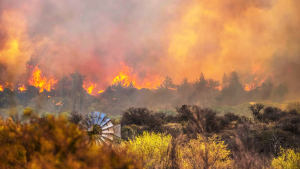 De la Patagonia a Córdoba: llegan brigadistas de Neuquén y Río Negro para combatir los incendios