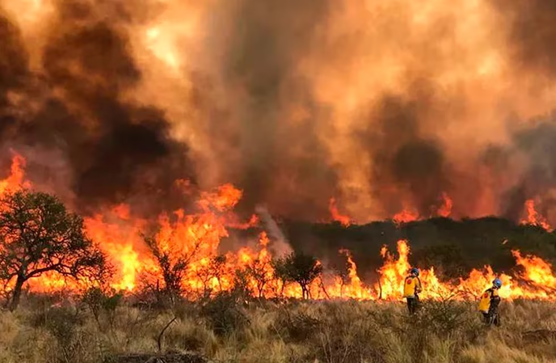 Continúan los incendios en Córdoba. Foto: Gentileza La Voz