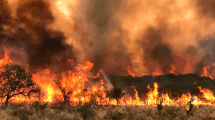 Imagen de Cristina criticó a Milei por los incendios en Córdoba: «No ejecutó un solo peso» y diputados aseguran una subejecución de fondos