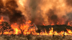 Cristina criticó a Milei por los incendios en Córdoba: «No ejecutó un solo peso» y diputados aseguran una subejecución de fondos