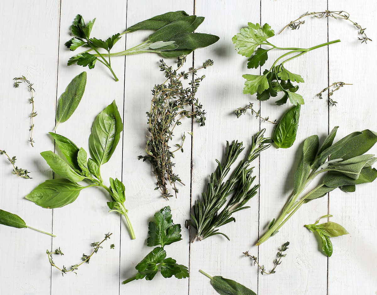 Las plantas medicinales pueden ayudar a tratar numerosas afecciones. Foto gentileza. 